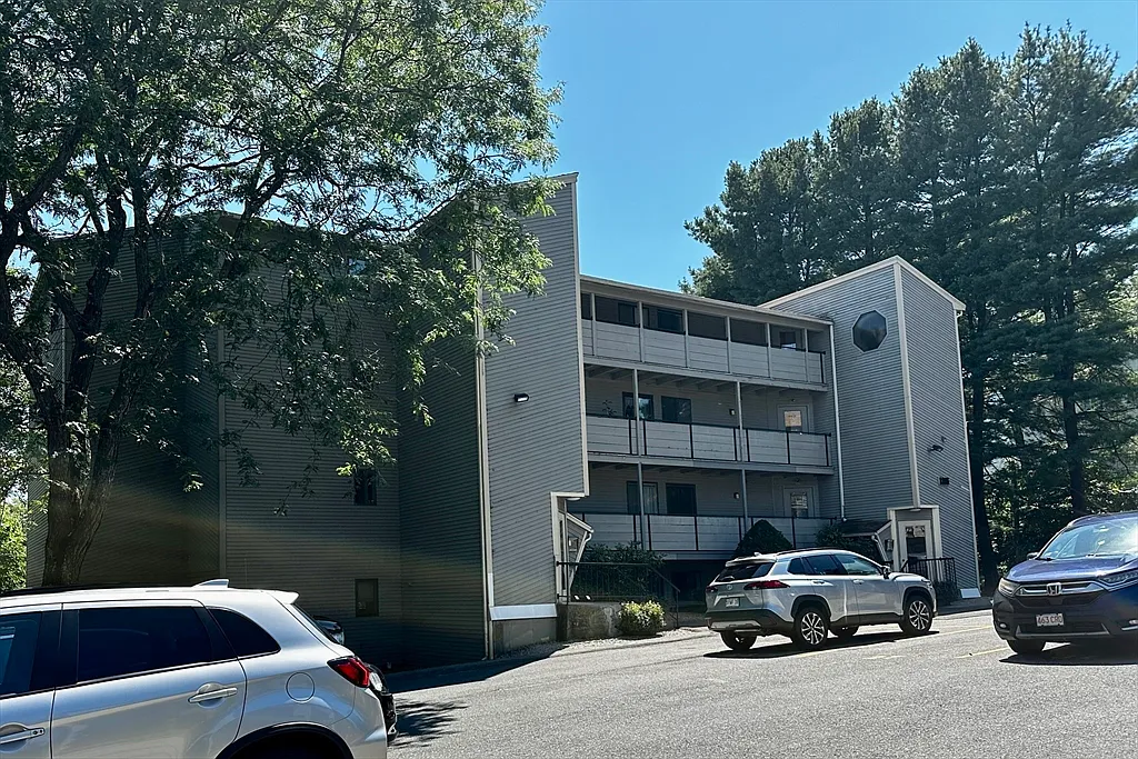 2 bed, 1.0 bath, 893 sqft, $2,000 — Photo 3