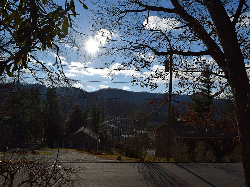 R1 Zoning; Walk to Campus! Centrally Located! — Photo 2