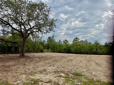 Tbd Ne 105th Ave, Bronson, FL, 32621