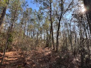 748 NW Country Lake Dr, Lake City, FL 32055