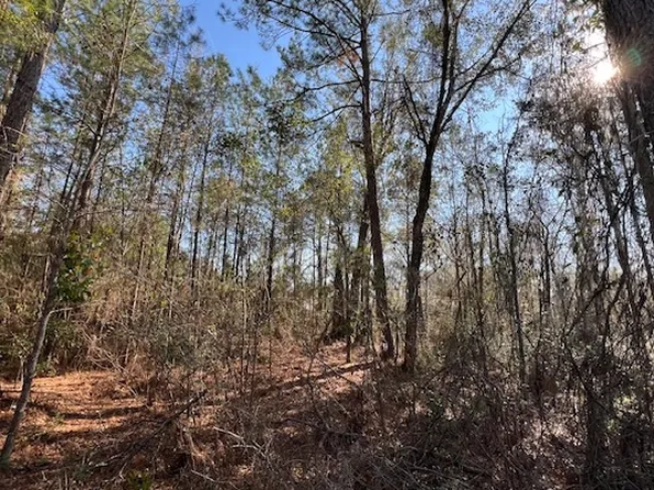 748 NW Country Lake Dr, Lake City, FL 32055