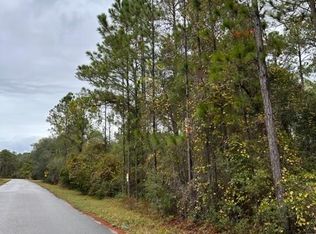 136 Lakeway Dr, Georgetown, FL 32139