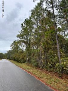 136 LAKEWAY Drive, Georgetown, FL, 32139