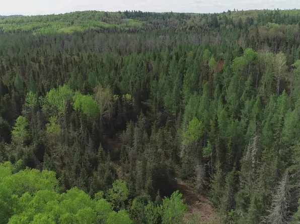 County Road Ccn Rd, Ishpeming, MI 49849