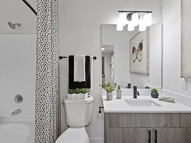 The Townhomes at Horizon Ridge, Henderson, NV, Bathroom