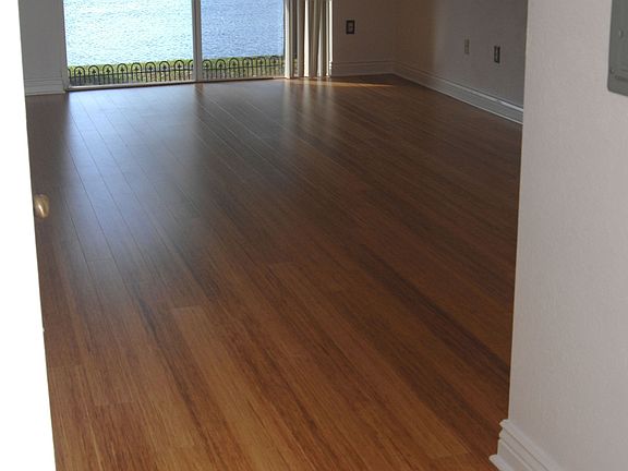 Living room with bamboo floors