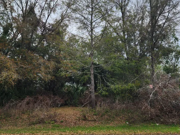SE 138th St, Summerfield, FL 34491
