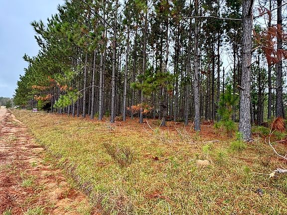 2nd image of 664 Mount Carmel Church Rd