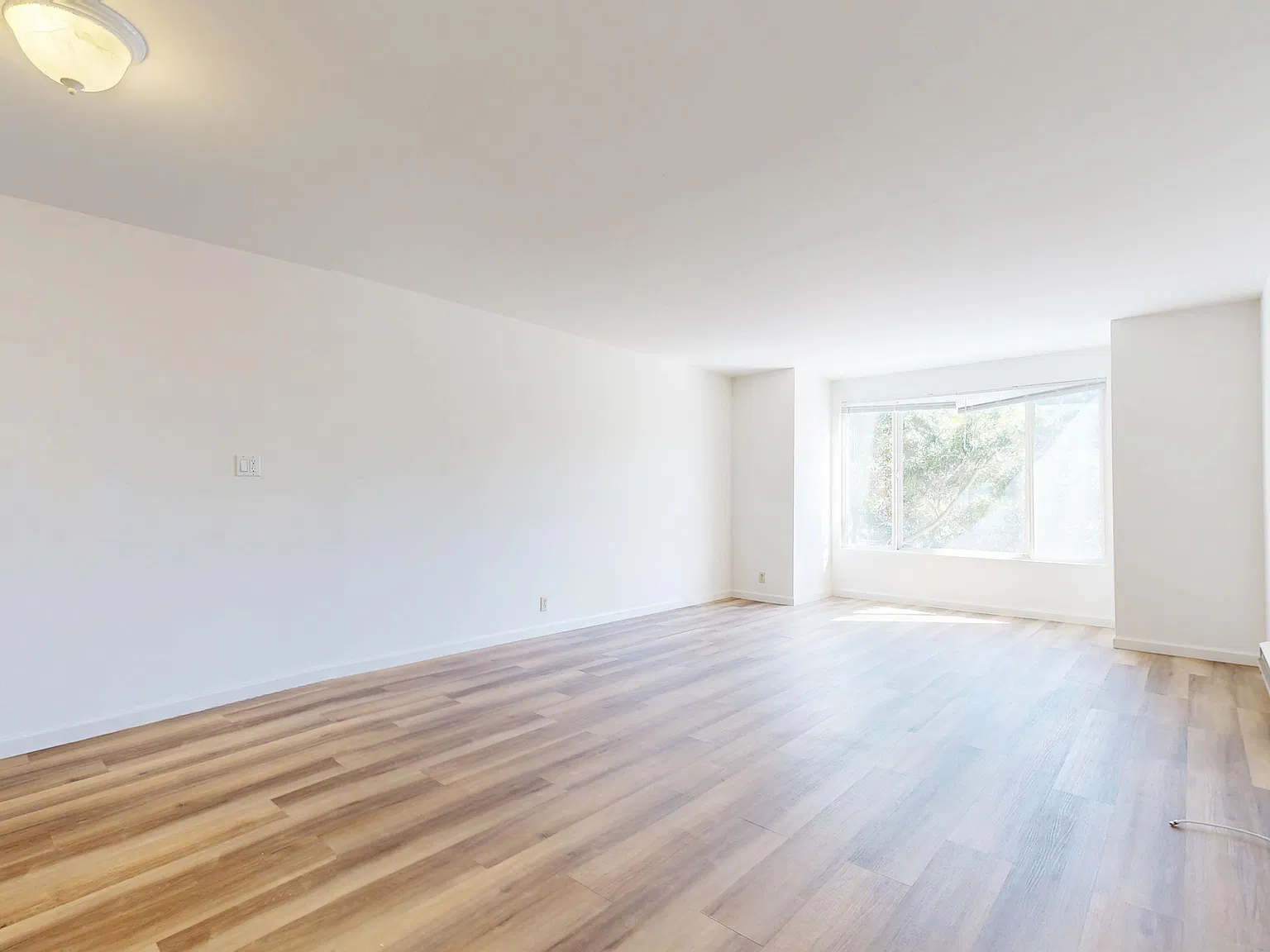 3220 Geary Blvd #209 — Photo 2