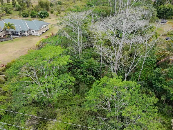 15-1590 17th St Lot 521, Keaau, HI 96749