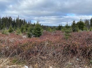 41 Old Cart Rd, South River, NL A0A1G0