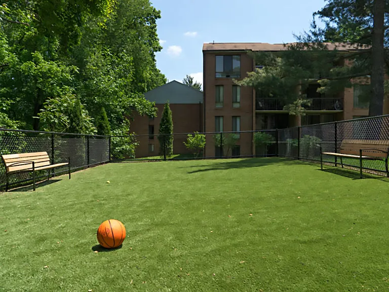 Fenced-in Dog Park with Bench Seating