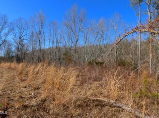 449 Bill Moser Rd #3, Vonore, TN 37885