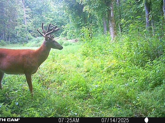 5th image of 2933 S Saluda Hill Rd