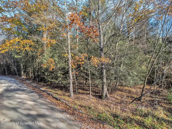 Oak Dr, Dalton, PA 18414