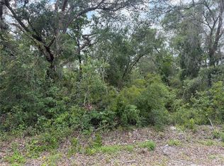 7419 Southeast Ave LOT 1, Webster, FL 33597