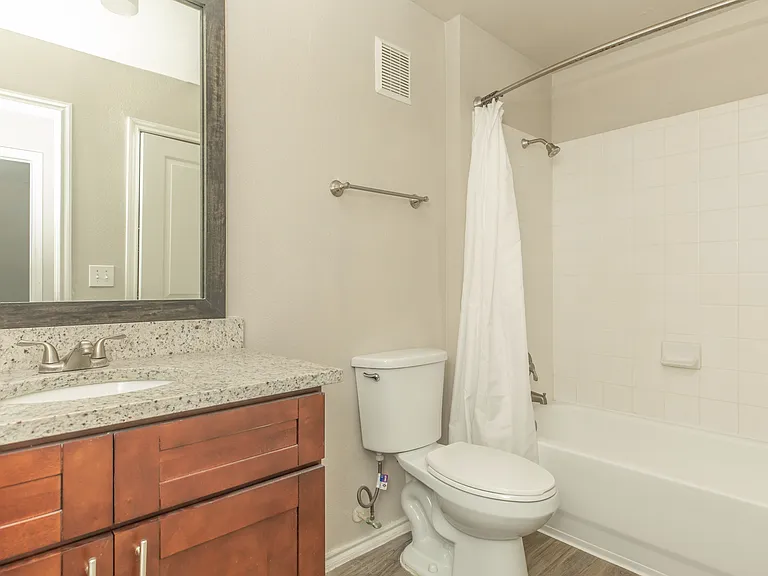 Luxury Bathroom with Contemporary Features at Sierra Royale Apartments, Robstown, TX