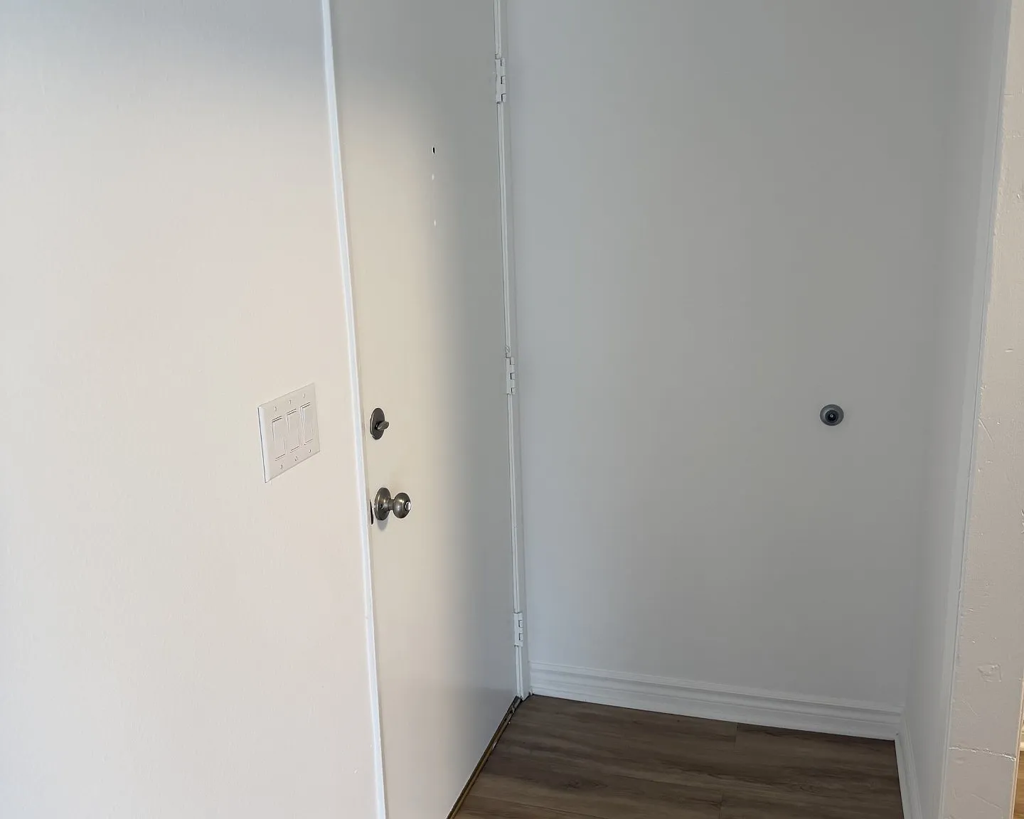 Pinetree Long Beach — Photo 4
