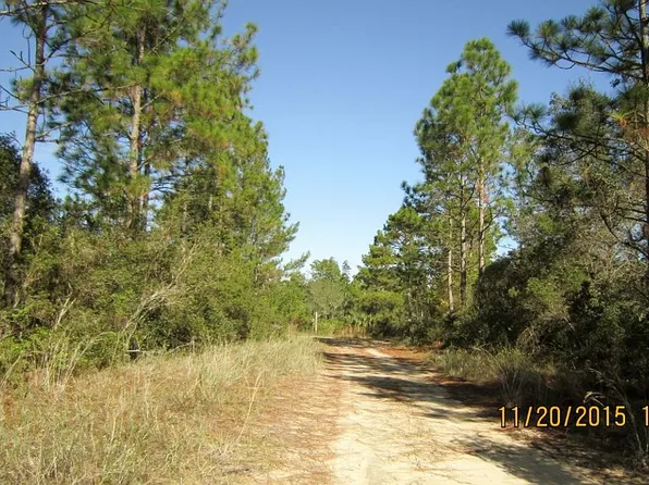 224 Deer Run Rd, Satsuma, FL 32189