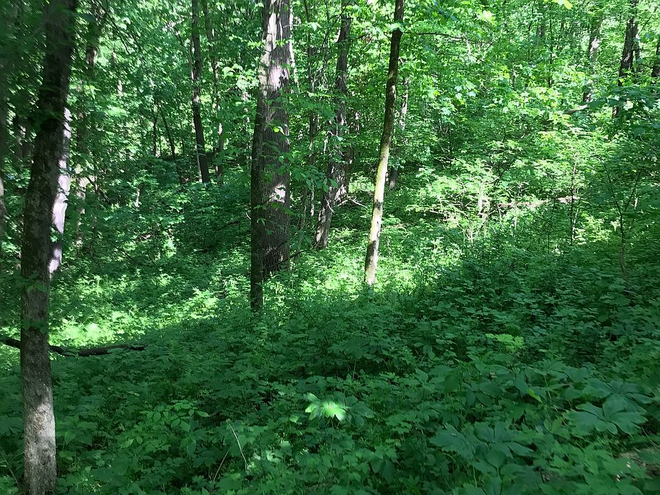 2nd image of 5 Hillside Ct