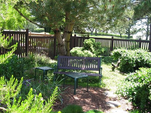 East Side Serenity Bench