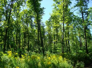 On Bradley Lake Rd, Crandon, WI 54520