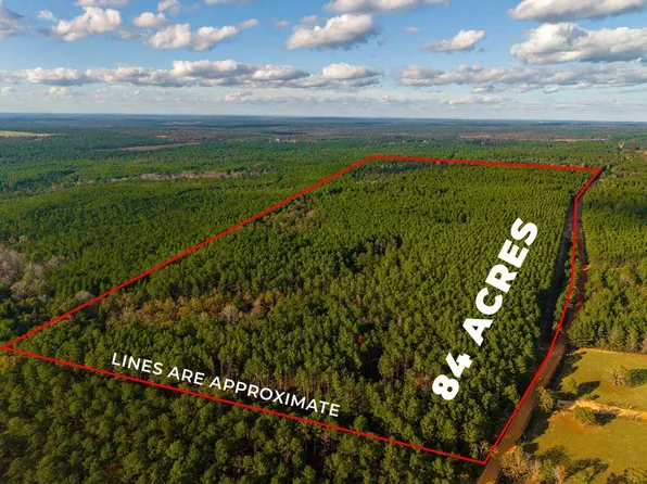 0 Edgar Jones Rd, Mauk, GA 31058