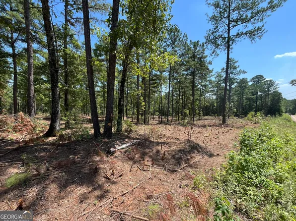 18 Gordon Rd, Forsyth, GA 31029