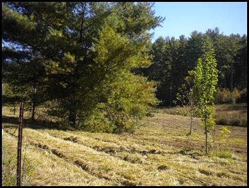 2nd image of Pond Ridge Rd