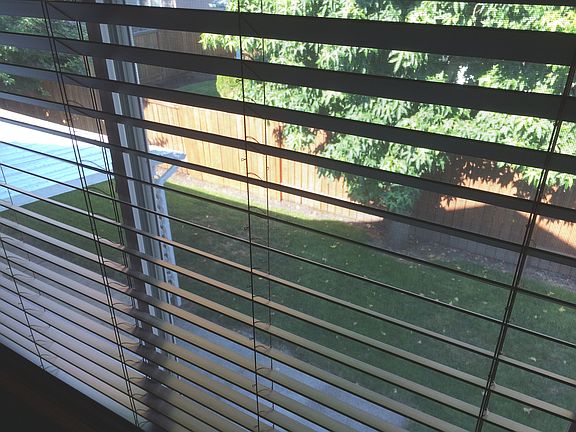 Backyard from Master