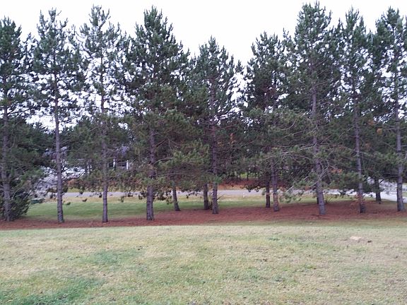 front of house to road 