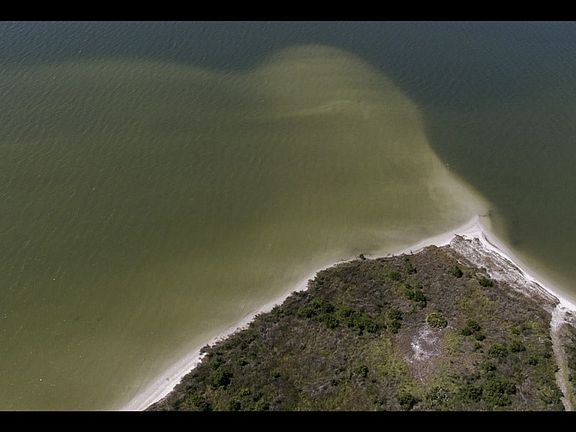 3rd image of 2112 W Beach Blvd
