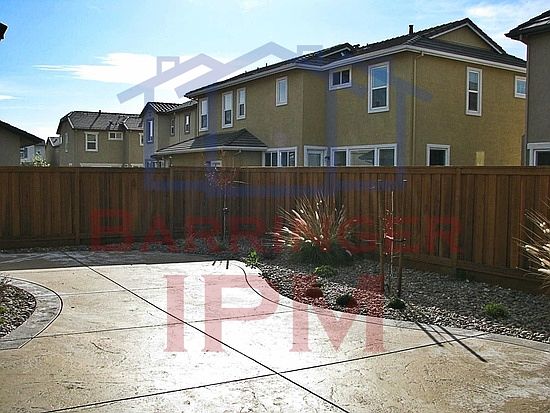 orinda backyard_09262014