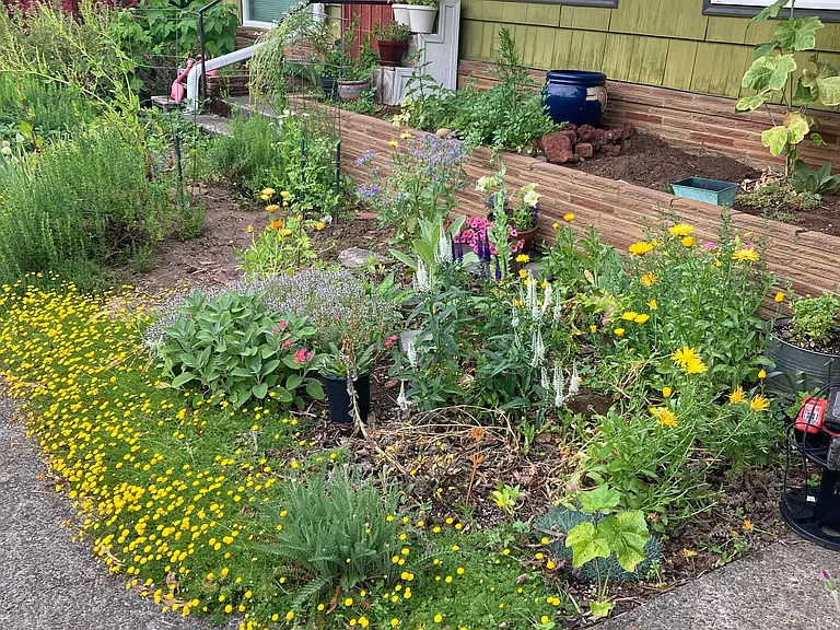 kitchen Garden
