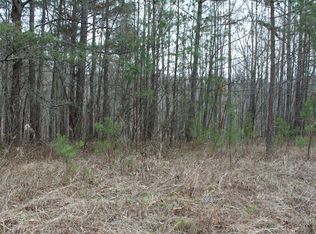 1 Thirteen Off Shady Ln, Blairsville, GA 30512