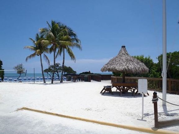 3rd image of 500 Burton Dr #2315