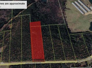1271 New Oak Grove Rd, Nauvoo, AL 35578