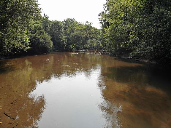 New road access to river!