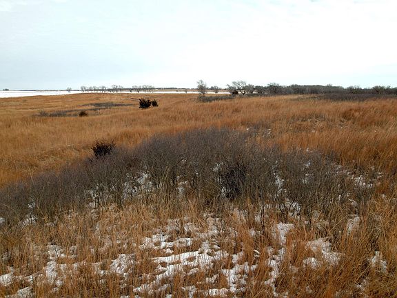 3rd image of 0 SW 100th Rd