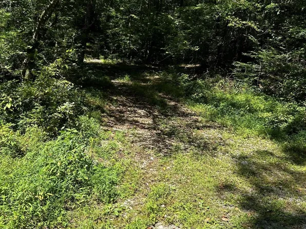0 Bailey Rd, Tellico Plains, TN 37385