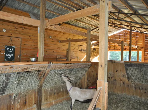 12129 County Road 9, Millport, AL 35576