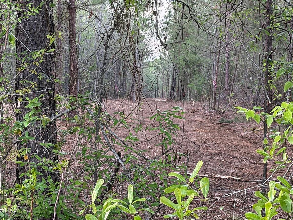 2nd image of Velma Moore Rd Lot 2