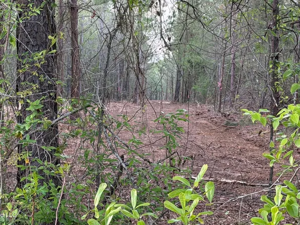 Us Highway 80 Lot 4, Lawrence, MS 39336