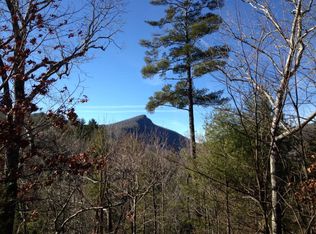 59 Emerald Ridge Rd UNIT 228, Sapphire, NC 28774