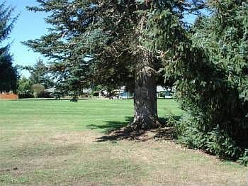 2nd image of 6209 Sarazan St SE