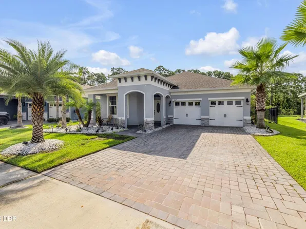 3027 Borassus Dr, New Smyrna Beach, FL 32168