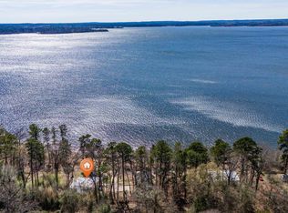 489 & 499 Ferrils Point Rd, Avinger, TX 75630