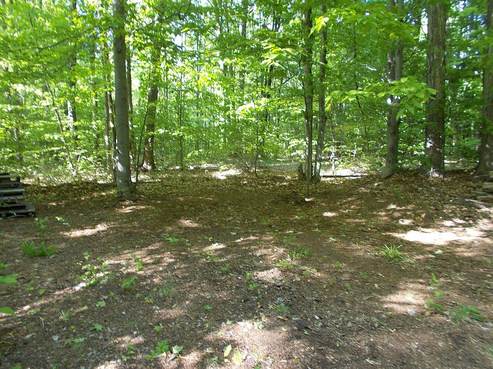 V L Glovers Lake Rd, Bear Lake, MI 49614 MLS 23017805 Zillow