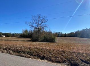 115 Albert Prince Rd, Carriere, MS 39426