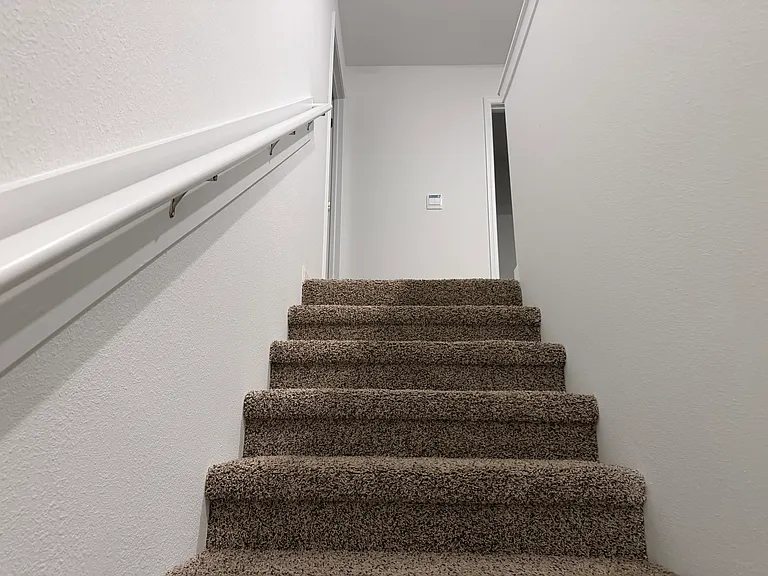 4453 White Ibis Ln — Photo 21